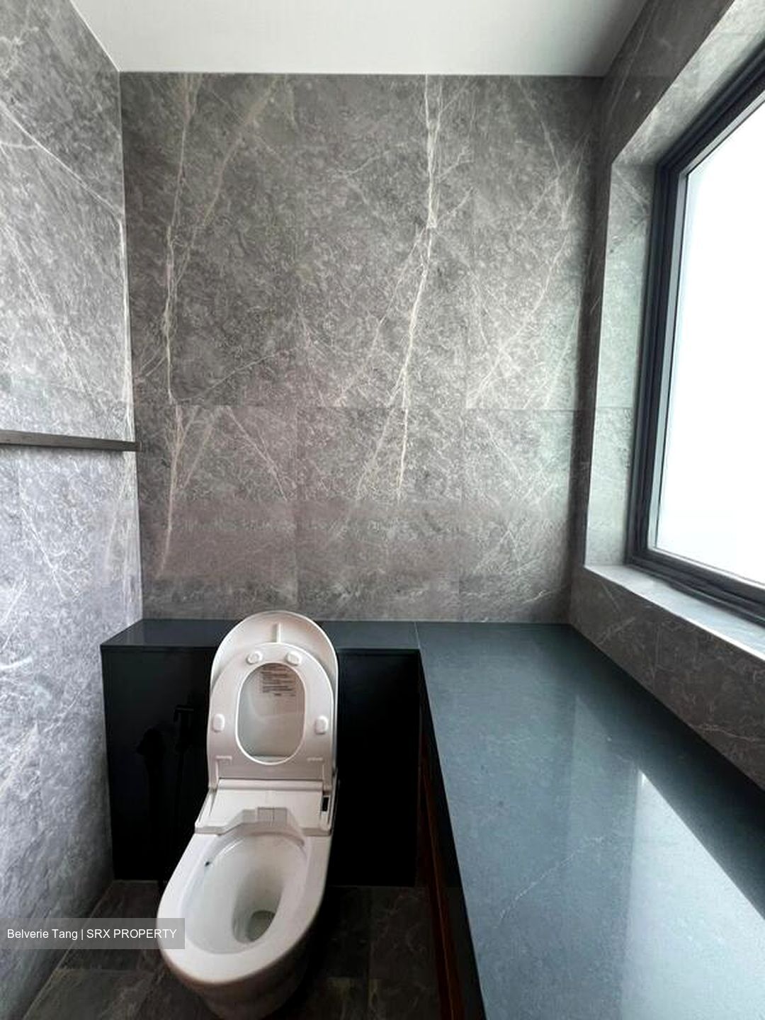 One Holland Village Residences (D10), Apartment #573755461